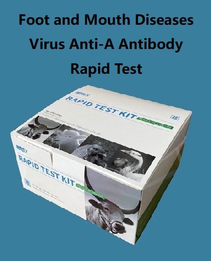 Goveda FMDV-A Ab Test